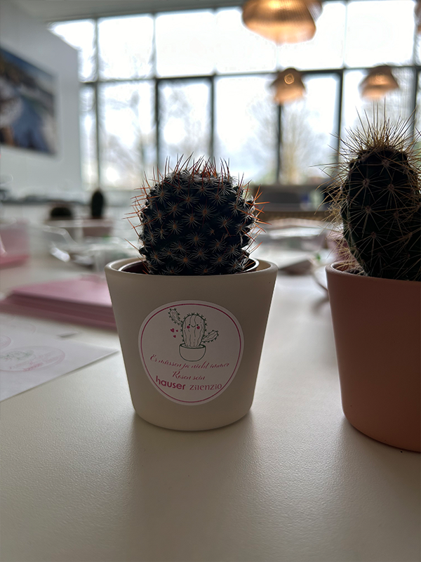Ein einzelner Kaktus in einem weißen Topf mit einem personalisierten Aufkleber, der das gleiche Kaktusmotiv und den Slogan 'Es müssen ja nicht immer Rosen sein hauser zienczio' zeigt, platziert auf einem Tisch vor einem Fenster.