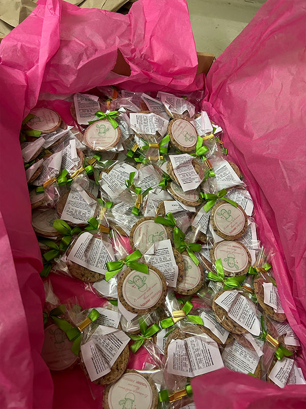 Eine Sammlung von einzeln verpackten Keksen mit grünen Bändern und individuellen Etiketten, die durch fuchsiafarbenes Seidenpapier in einer Schachtel durchscheinen mit Logos von Hauser und Zilenzio, sowie einem Kaktus und der Aufschrift: Es müssen ja nicht immer Rosen sein.